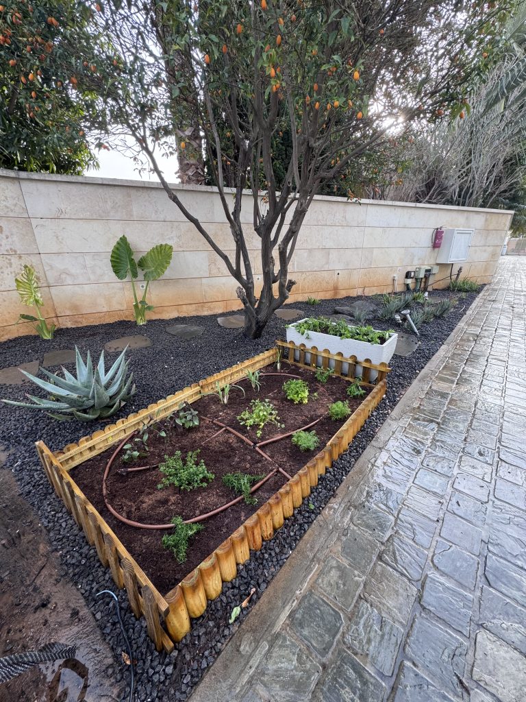 גינת ירק מעוצבת